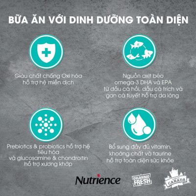 Thức Ăn Cho Mèo Trưởng Thành Nutrience Infusion Bao 5kg - Thịt Gà, Rau Củ Và Trái Cây Tự Nhiên