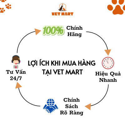 Lọ Xịt five Fipronil Spray Hỗ Trợ Điều Trị Diệt Ve, Ghẻ, Rận, Bọ Chét, Bọ Mạt Trên Chó (100ml) - Fivevet