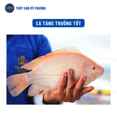 Siêu tăng trọng đạm thủy phân nông to đường ruột Aqua Gainl chắc thịt nặng cân kích thích ăn nhiều cho tôm thẻ cá lươn ếch ốc