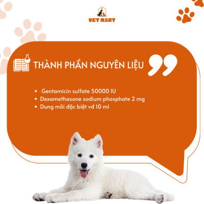Thuốc Nhỏ Mắt Five Genta Drop 10ml Hỗ Trợ Các Chứng Dị Ứng Và Nhiễm Khuẩn Mắt Cho Thú Cưng - Fivevet