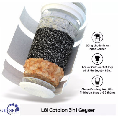 Bình lọc kháng khuẩn nano Geyser Aquarius