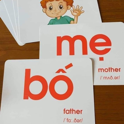 Bộ 100 Thẻ Học Thông Minh Cho Bé, Flashcard Song Ngữ Cho Bé Với 14 Chủ Đề Thế Giới Xunh Quanh Khổ A5 21x15cm