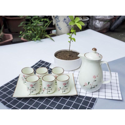 Bộ bình nước ly/cốc sứ Bát Tràng họa tiết hoa sen/đào