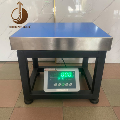 Đầu Chỉ Thị Cân Điện Tử B19P