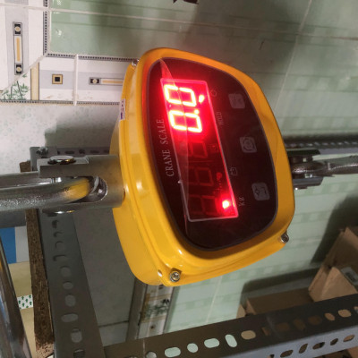 Cân Treo Điện Tử OCS GGE 2 Tấn