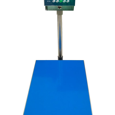 Cân Bàn Điện Tử B19S 60 kg