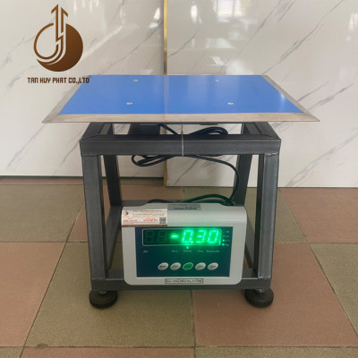 Cân Ghế Điện Tử B19P - Mặt Bàn Cân 300X400MM