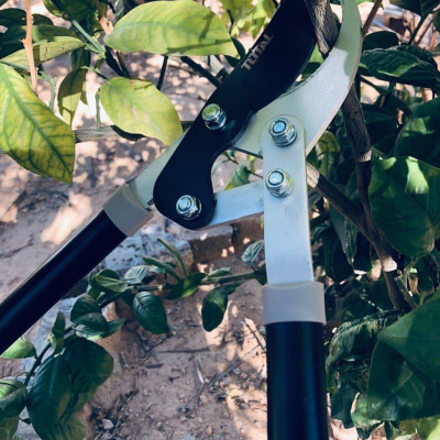 KÉO CẮT TỈA CÀNH CÂY 29"/740MM TOTAL THT1527401 - HÀNG CHÍNH HÃNG