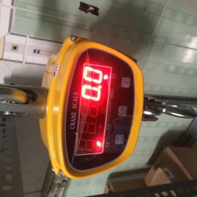 Cân Treo Điện Tử OCS GGE 1 Tấn