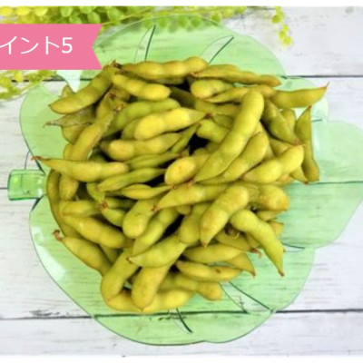 Combo 03 Đĩa nhựa pha lê màu xanh hình chiếc lá Yamada - Nội địa Nhật Bản