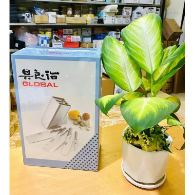 Bộ dao 7 món Global (Nhật)