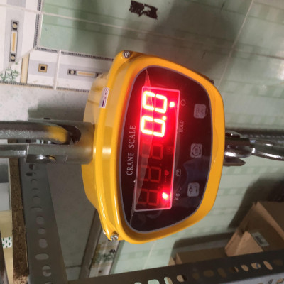 Cân Treo Điện Tử OCS GGE 2 Tấn