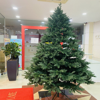 Cây thông Pe cao cấp 2m - Cây thông noel PE -  Cây tự động bung cành