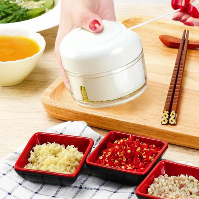 Máy Xay Tỏi Ớt Kéo Tay, Dụng Cụ Xay Nghiền Tỏi Ớt Mẫu Mới 2020