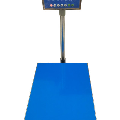 Cân Bàn Điện Tử DIGI DS-166SS 500 kg