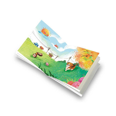 Cái Tai Và Cuộc Phiêu Lưu Kỳ Thú (Tái bản năm 2024)