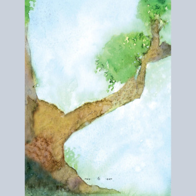 Illustrated Classics - Những cuộc phiêu lưu kỳ thú - Robin Hood, Gulliver du ký, Moonfleet