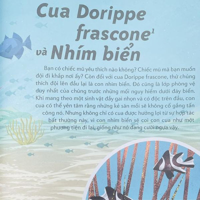 Sách - Những Cặp Bài Trùng Trong Thế Giới Động Vật - Mối Quan Hệ Cộng Sinh Thú Vị Trong Thế Giới Động Thực Vật