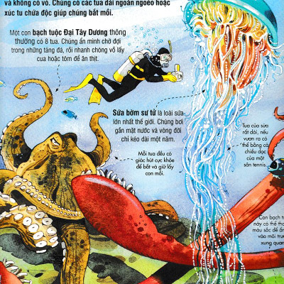 Sách Tương Tác - Big Book - Cuốn Sách Khổng Lồ Về Các Loài Động Vật Biển (Tái Bản 2018)