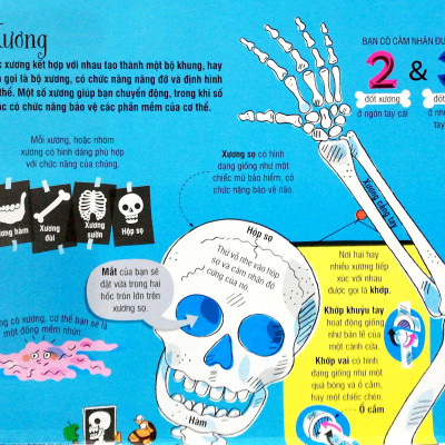 Sách Tương Tác - Big Book - Cuốn Sách Khổng Lồ Về Cơ Thể Người (Tái Bản)