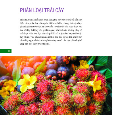 Bách Khoa Về Trái Cây Và Rau Củ (Bìa cứng - In màu)