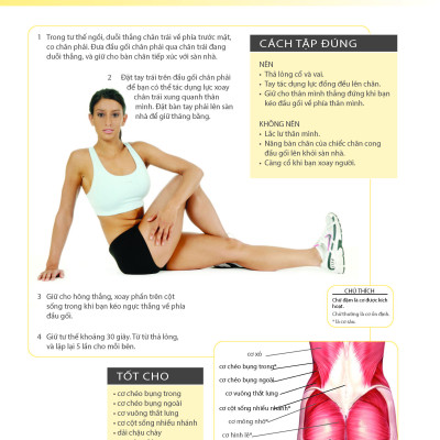 Khỏe Đẹp Với Các Bài Tập Cơ Bản