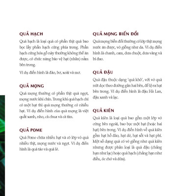 Bách Khoa Về Trái Cây Và Rau Củ (Bìa cứng - In màu)