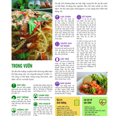 Bách Khoa Về Trái Cây Và Rau Củ (Bìa cứng - In màu)