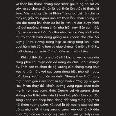 Xà Điển - Muôn Chuyện Về Loài Rắn