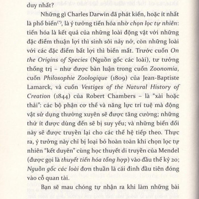 Bạn Có Thông Minh Hơn Con Tinh Tinh