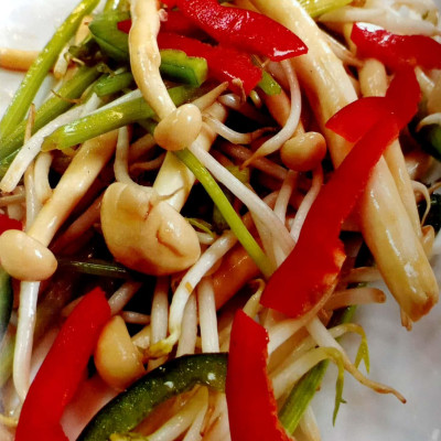 500 Món Chay Thanh Tịnh - Tập 16