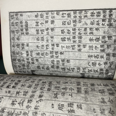 Khảo Cứu Từ Điển Song Ngữ Hán Việt Nhật Dụng Thường Đàm