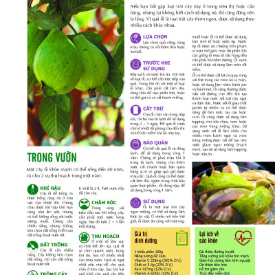 Bách Khoa Về Trái Cây Và Rau Củ (Bìa cứng - In màu)