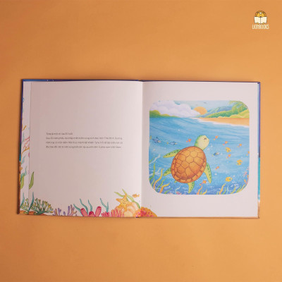 Chuyện Mẹ Rùa - Chào hè với câu chuyện về hành trình sinh nở của Rùa Biển