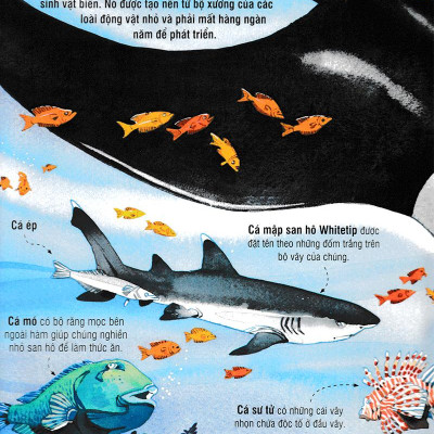 Sách Tương Tác - Big Book - Cuốn Sách Khổng Lồ Về Các Loài Động Vật Biển (Tái Bản 2018)