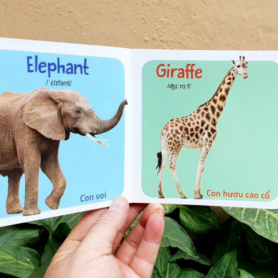 Từ điển hình ảnh đầu tiên cho bé khám phá thế giới (10 cuốn) - My first picture book 