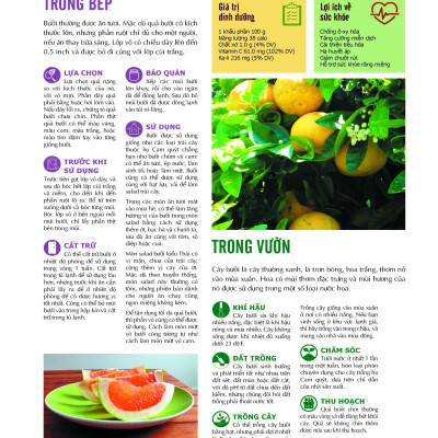 Bách Khoa Về Trái Cây Và Rau Củ (Bìa cứng - In màu)