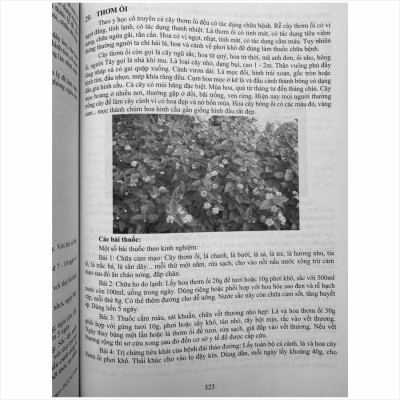 Sách Tuyển Chọn Các Bài thuốc Nam Chữa Triị Bệnh Theo Mùa, Các Bệnh Hậu COVID - V2494D