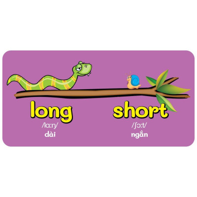 Sách - Từ Điển Bằng Hình Đầu Tiên Của Bé - Baby