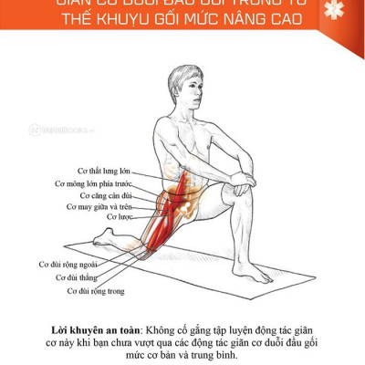 Giải Phẫu Học Về Giãn Cơ - 
Giãn Cơ Để Tối Ưu Sức Mạnh Cơ Bắp
