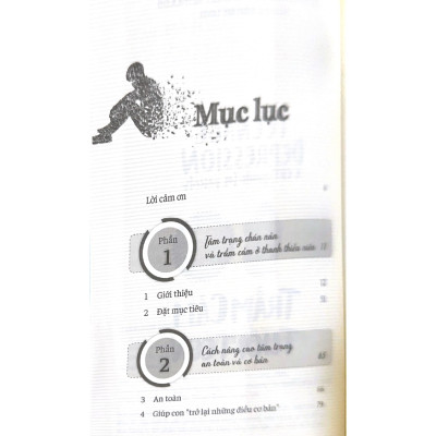 Trầm Cảm Tuổi Teen - Vanlangbooks