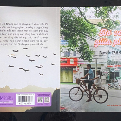 Bơ vơ giữa phố (truyện dài thiếu nhi - Nguyễn Thái Hải)