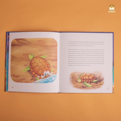 Chuyện Mẹ Rùa - Chào hè với câu chuyện về hành trình sinh nở của Rùa Biển