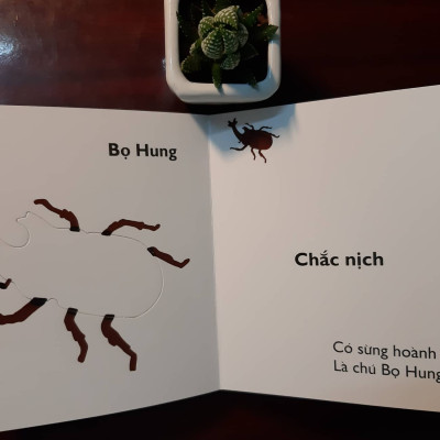 Combo 4 cuốn Ehon Nhật Bản Cùng chơi trốn tìm 8 Sinh vật biển, Cùng chơi trốn tìm 9 Các loài chim, Cùng chơi trốn tìm 10 Côn trùng, Cùng chơi trốn tìm 11 Giáng sinh