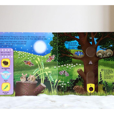 Sách Tương Tác - Sách Chuyển Động - First Explorers - Night Animals - Động Vật Ban Đêm
