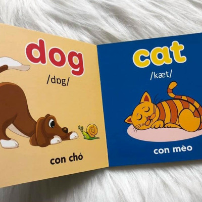 Từ điển hình ảnh đầu tiên cho bé khám phá thế giới (10 cuốn) - My first picture book 
