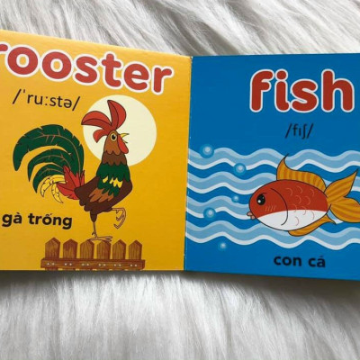 Từ điển hình ảnh đầu tiên cho bé khám phá thế giới (10 cuốn) - My first picture book 