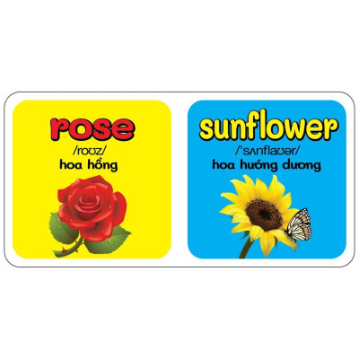 Sách - Từ Điển Bằng Hình Đầu Tiên Của Bé - Baby