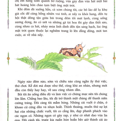 Dế Mèn Phiêu Lưu Ký