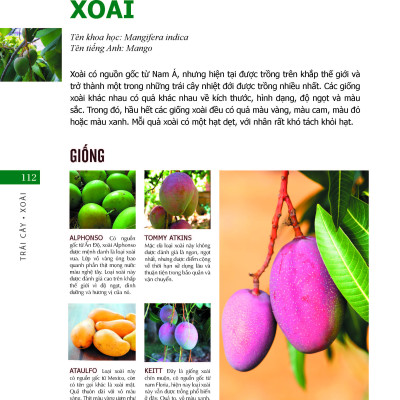 Bách Khoa Về Trái Cây Và Rau Củ (Bìa cứng - In màu)